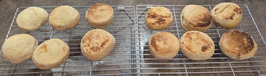 Sourdough English Muffins